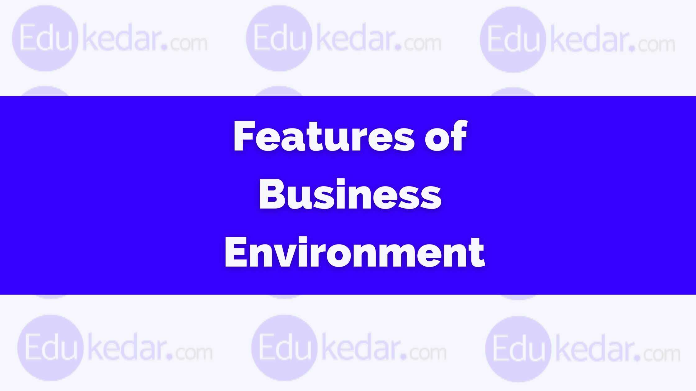 Features Of Business Environment 