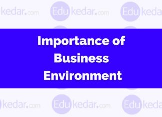 Importance of Business Environment Importance of Business Environment