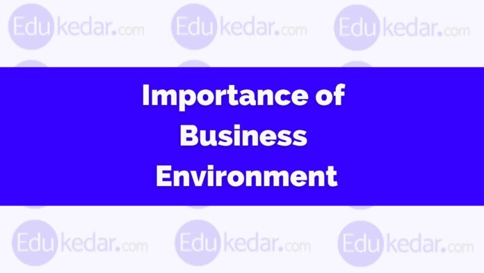 Importance of Business Environment