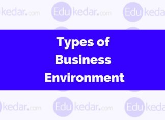 Types of Business Environment Types of Business Environment