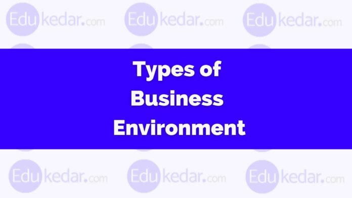 Types of Business Environment