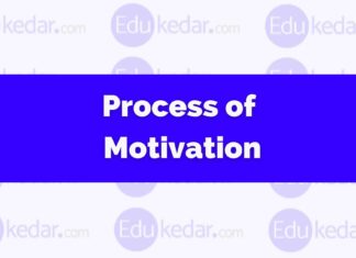 Process of Motivation Process of Motivation