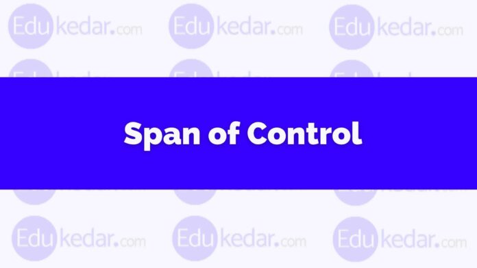 span of control