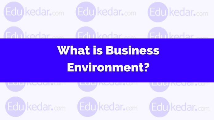 what is business environment