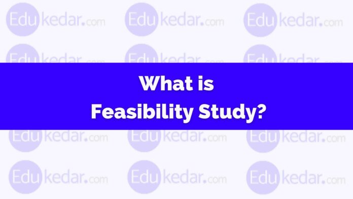 what is feasibility study