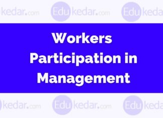 Workers Participation in Management Workers Participation in Management
