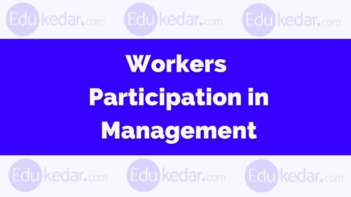 Workers Participation in Management