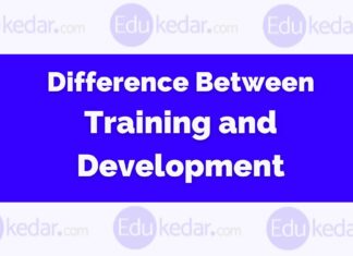 Difference between Training and Development Difference between Training and Development