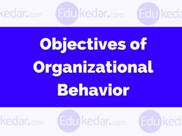 objectives of organizational behavior