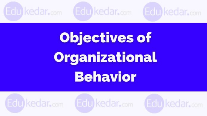 objectives of organizational behavior