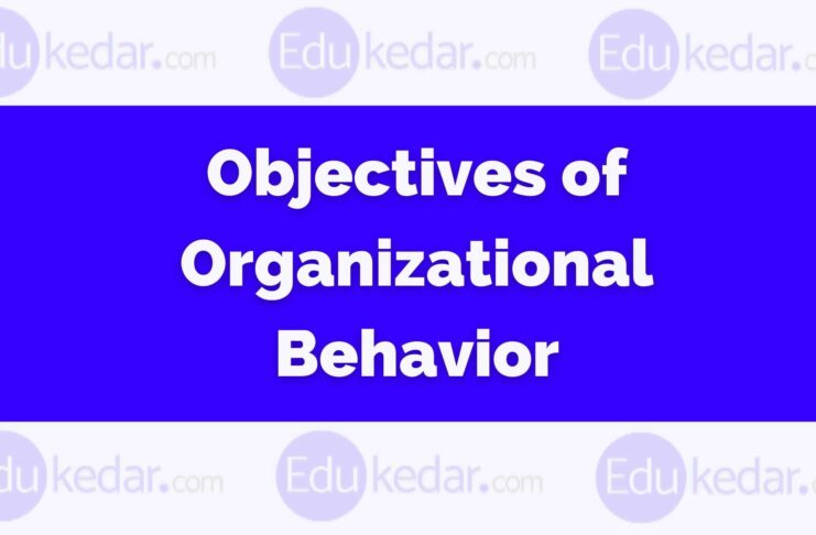 objectives of organizational behavior