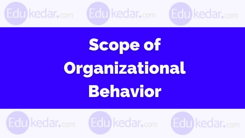 Scope of Organisational Behavior: Feature, Nature, Importance