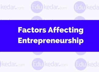 Factors Affecting Entrepreneurship Factors Affecting Entrepreneurship