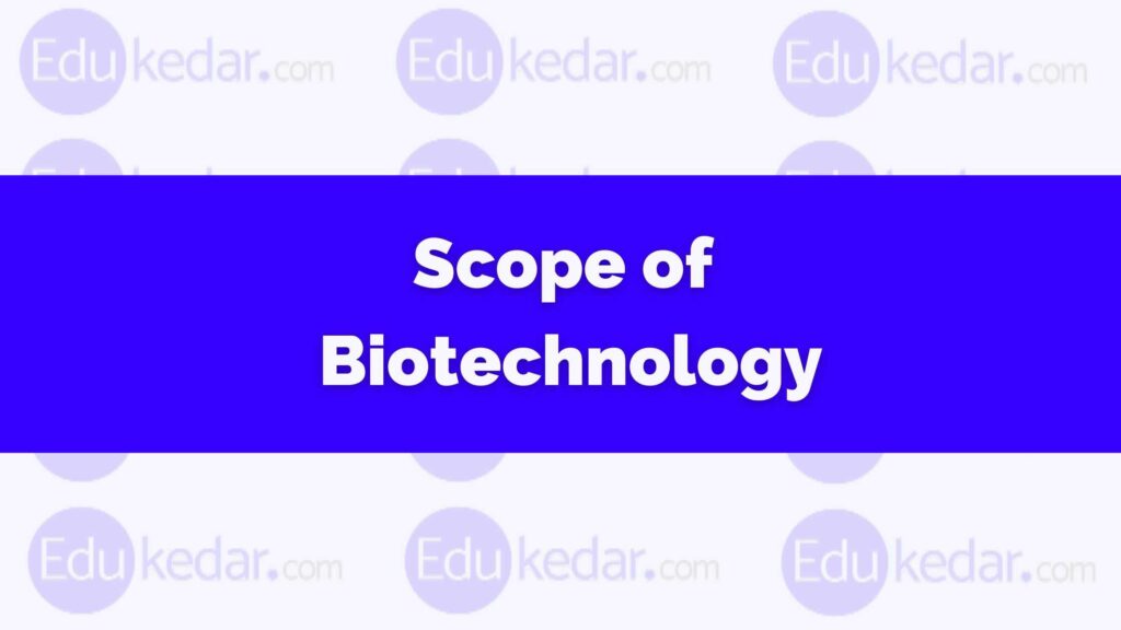 scope after phd in biotechnology