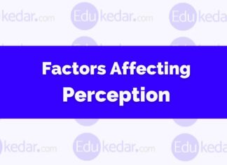 Factors Influencing Perception factors affecting perception
