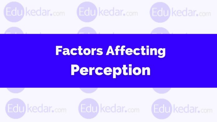 factors affecting perception