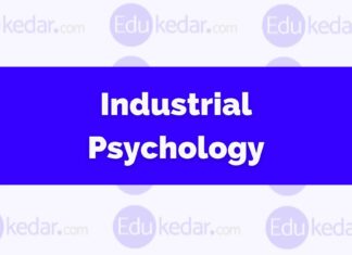 What is Industrial Psychology? industrial psychology
