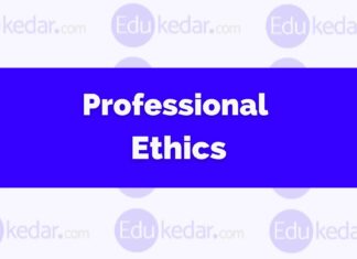 What is Professional Ethics? professional ethics
