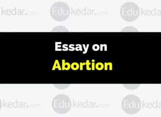 Essay on Abortion essay on abortion