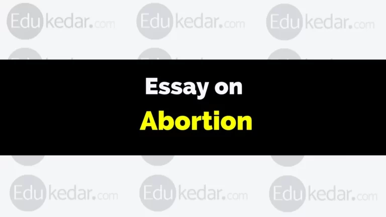 Essay on Abortion