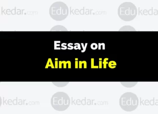 Essay on Aim in Life essay on aim in life