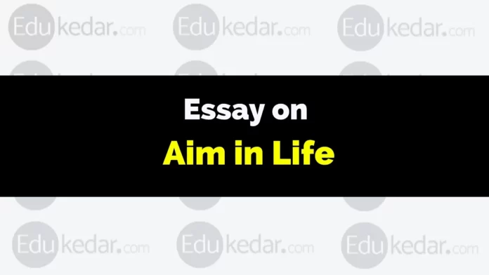 essay on aim in life
