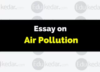 Essay on Air Pollution essay on air pollution