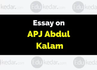 Essay on APJ Abdul Kalam essay on apj abdul kalam