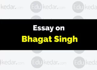 Essay on Bhagat Singh essay on bhagat singh