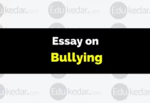 Essay on Bullying essay on bullying