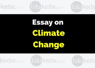 Essay on Climate Change essay on climate change