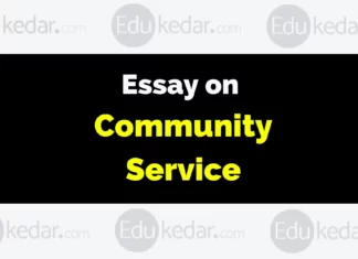 Essay on Community Service essay on community service