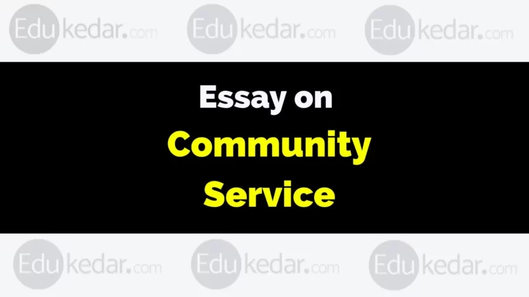 Essay on Community Service