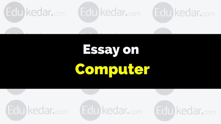 Essay on Computer