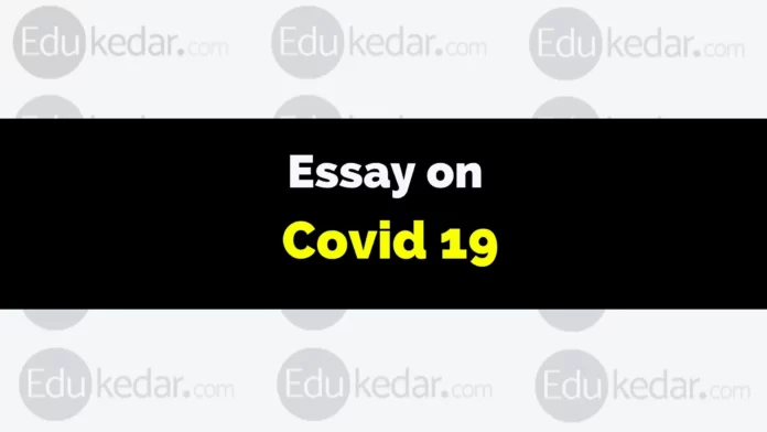 essay on covid 19