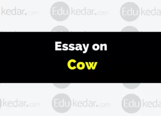 Essay on Cow essay on cow