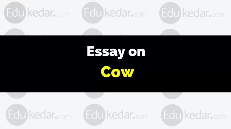 Essay on Cow