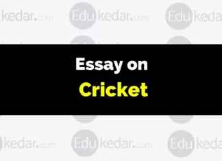 Essay on Cricket essay on cricket