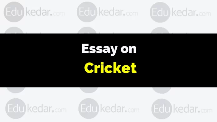 essay on cricket