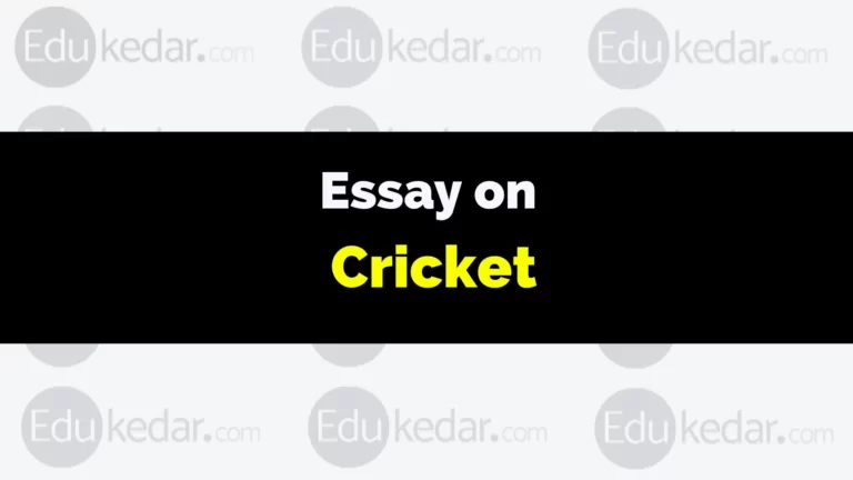 Essay on Cricket