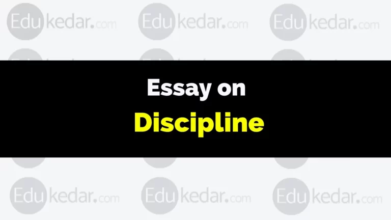 Essay on Discipline