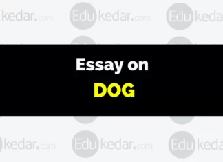 Essay on Dog essay on dog