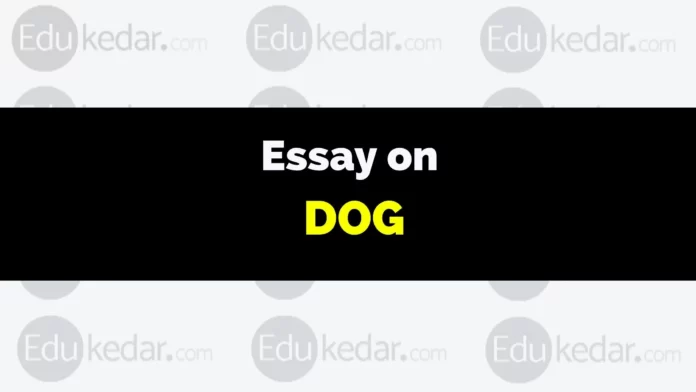 essay on dog