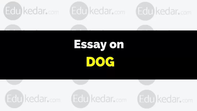 Essay on Dog