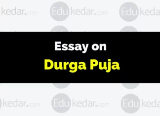 Essay on Durga Puja essay on durga puja
