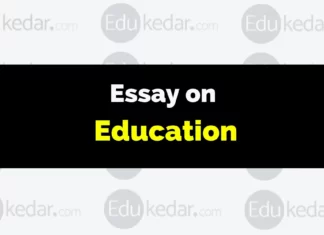 Essay on Education essay on education