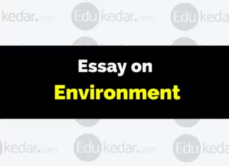Essay on Environment essay on environment