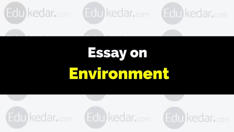 Essay on Environment