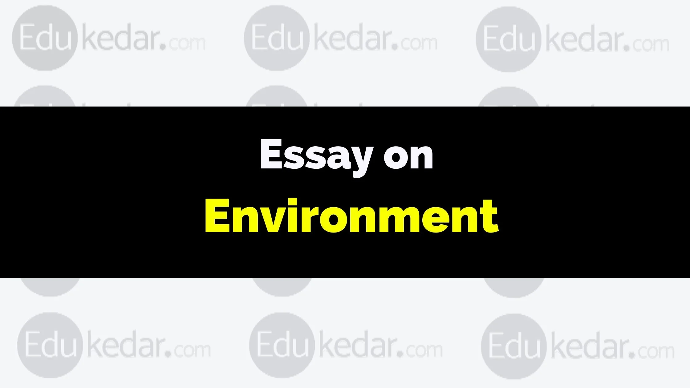 250 words essay on environment