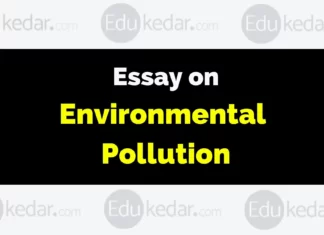 Essay on Environmental Pollution essay on environmental pollution